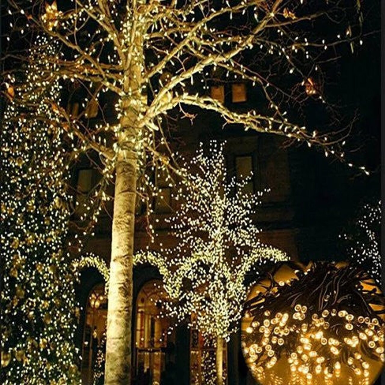 Edge Collections - Solar-Powered Mini LED Christmas Lights - 1 Piece